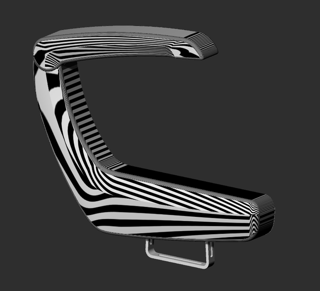 zebra1